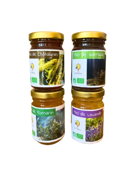 Les miels découverte de la Provence