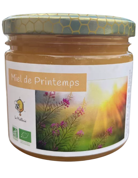 Miel de Printemps Bio de Provence