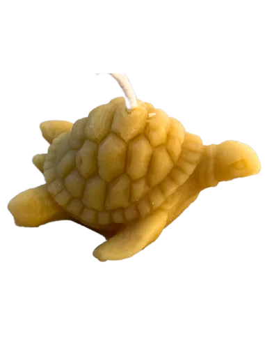 Bougie artisanale direct apiculteur forme tortue