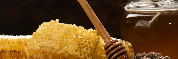 Le Miel : Histoire, Secrets et Controverses d'un Trésor Naturel